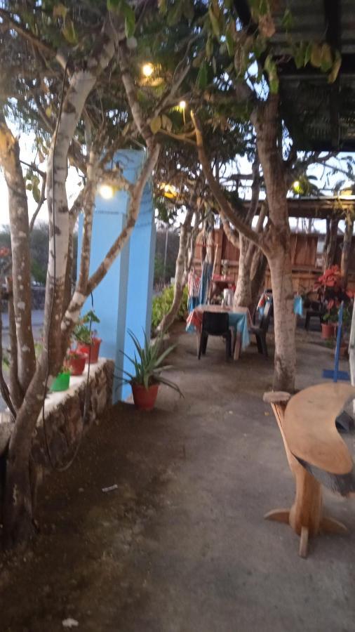 Hostal Cabanas Don Jorge Puerto Baquerizo Moreno Dış mekan fotoğraf